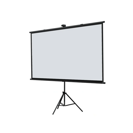Projector Screen